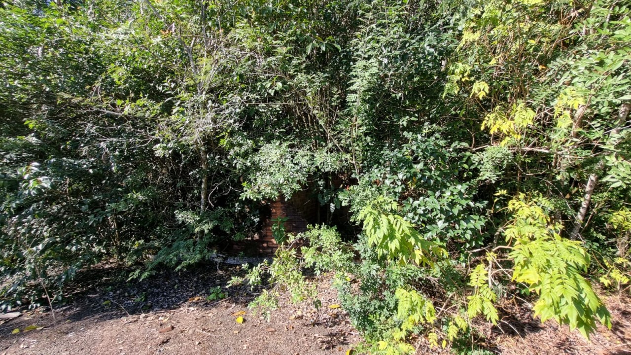 TERRENO DE 7.341,87m² FRENTE PARA A BR 116 EM NOVO HAMBURGO/RS, localizado em Novo Hamburgo - RS, bairro Roselândia