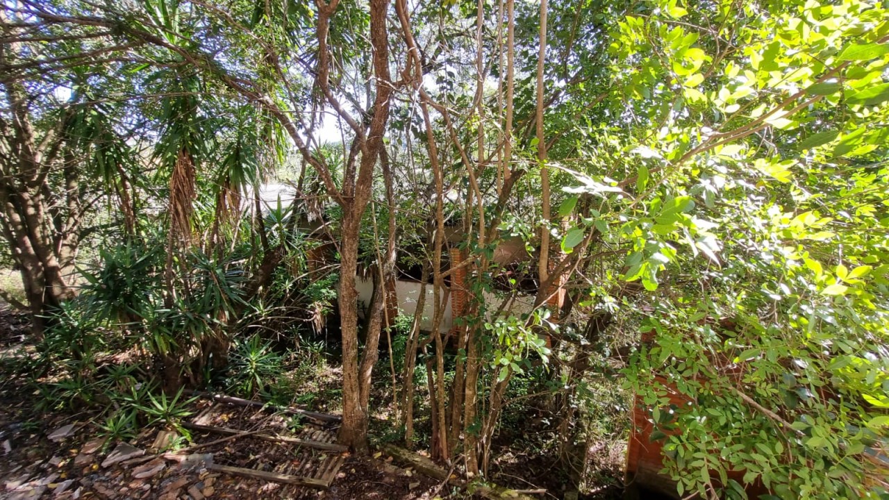 TERRENO DE 7.341,87m² FRENTE PARA A BR 116 EM NOVO HAMBURGO/RS, localizado em Novo Hamburgo - RS, bairro Roselândia