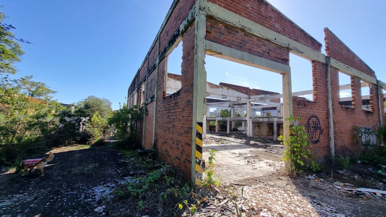 TERRENO DE 7.341,87m² FRENTE PARA A BR 116 EM NOVO HAMBURGO/RS, localizado em Novo Hamburgo - RS, bairro Roselândia