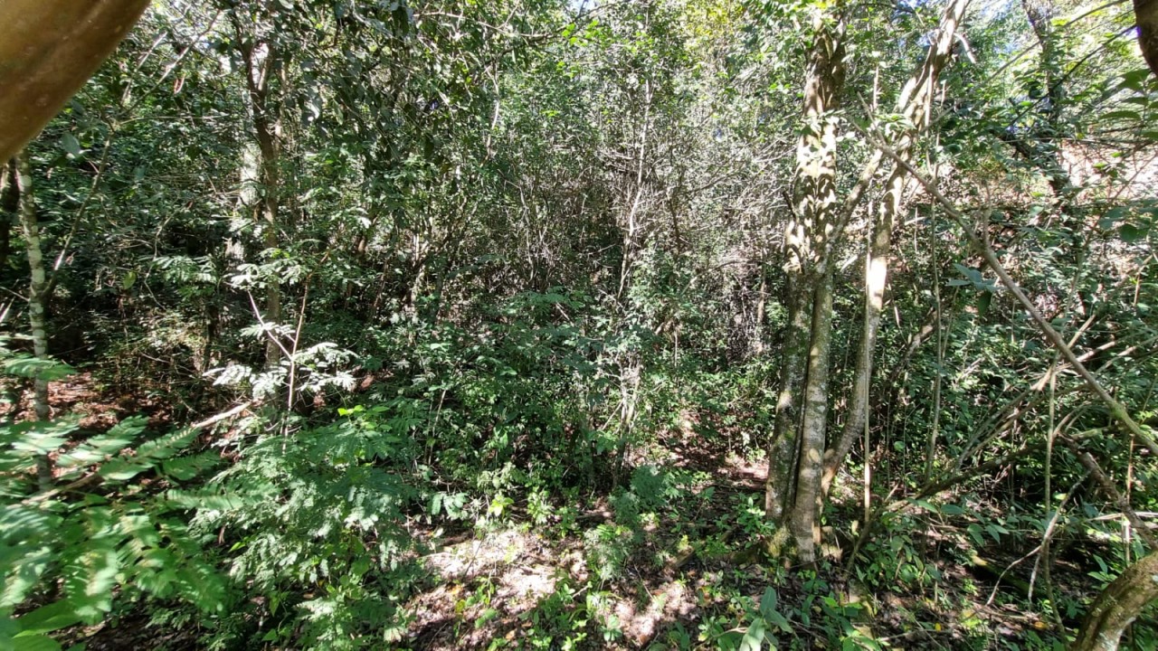 TERRENO DE 7.341,87m² FRENTE PARA A BR 116 EM NOVO HAMBURGO/RS, localizado em Novo Hamburgo - RS, bairro Roselândia