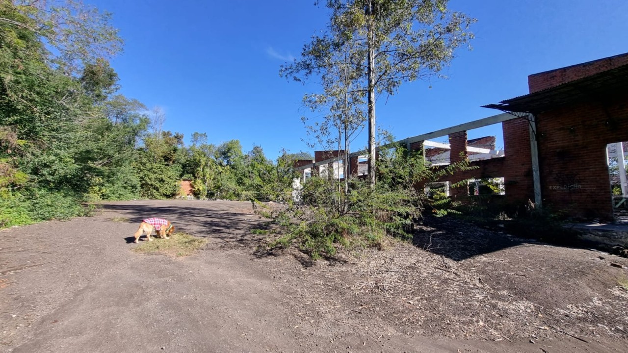 TERRENO DE 7.341,87m² FRENTE PARA A BR 116 EM NOVO HAMBURGO/RS, localizado em Novo Hamburgo - RS, bairro Roselândia