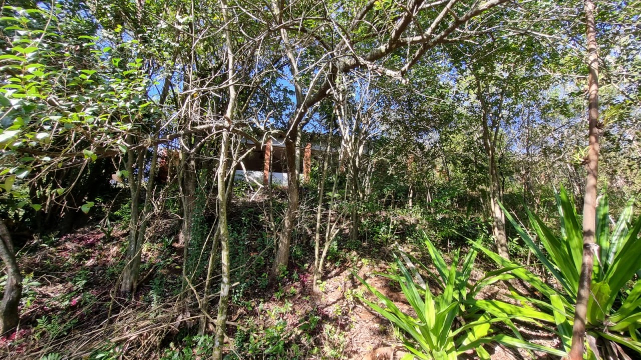 TERRENO DE 7.341,87m² FRENTE PARA A BR 116 EM NOVO HAMBURGO/RS, localizado em Novo Hamburgo - RS, bairro Roselândia