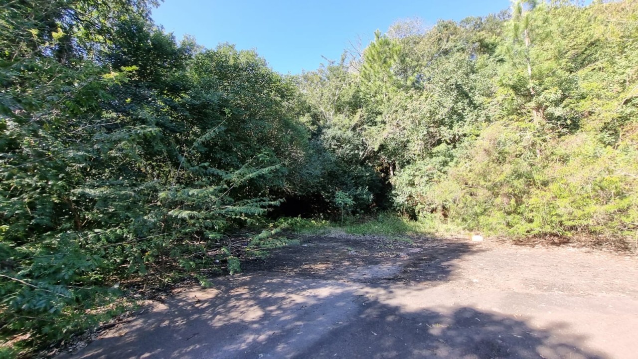 TERRENO DE 7.341,87m² FRENTE PARA A BR 116 EM NOVO HAMBURGO/RS, localizado em Novo Hamburgo - RS, bairro Roselândia