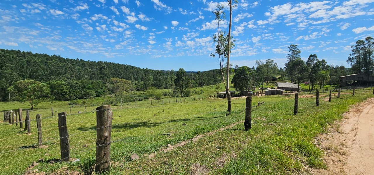 UM TERRENO DE 3.987m² NO LOTE 3 QUADRA C NO PARQUE CAMPESTRE EM SÃO SEBASTIÃO DO CAI, localizado em São Sebastião Do Caí - RS