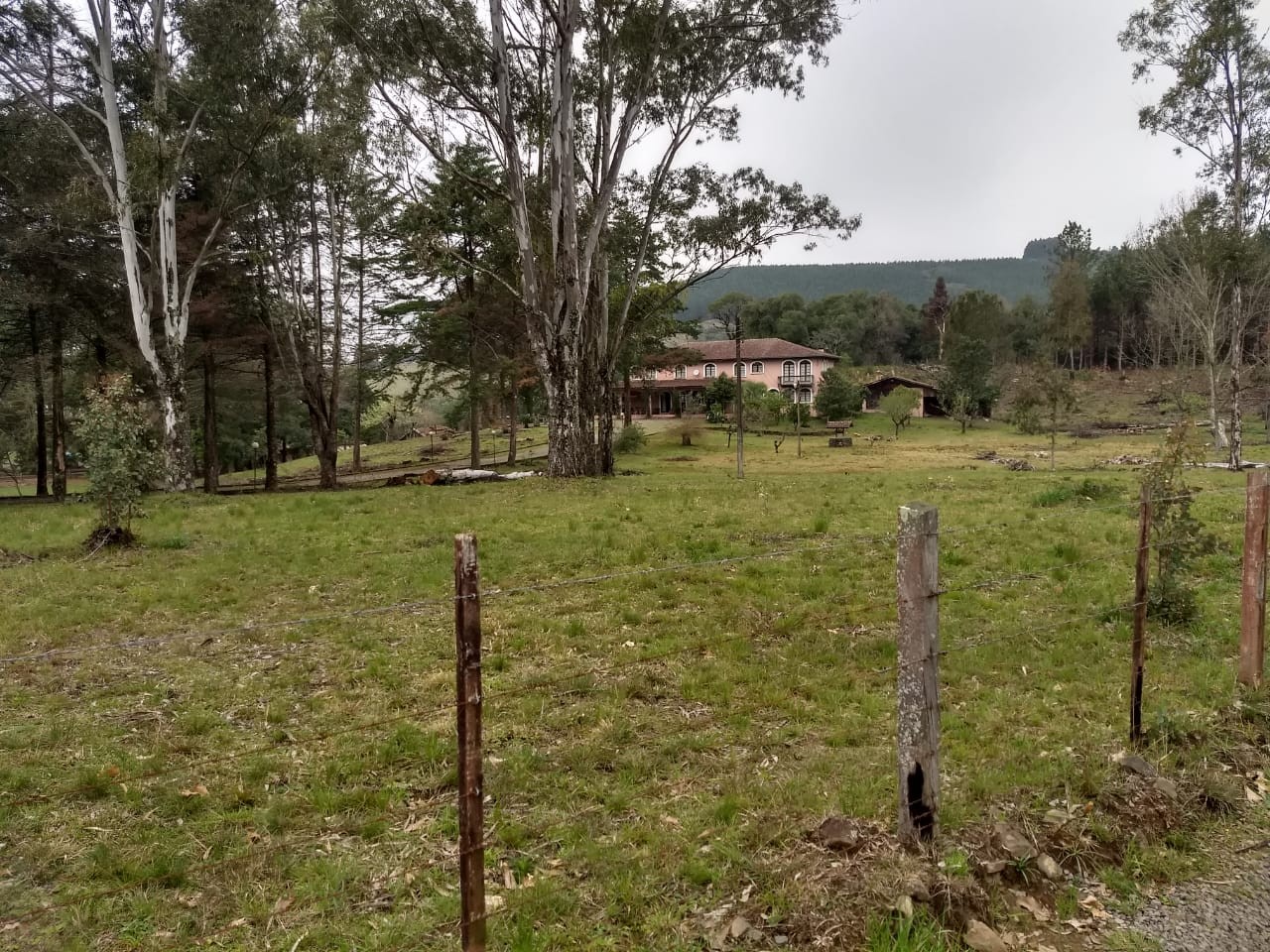 CHACARA DE 19,7 HECTARES NA LINHA HUMAITÁ EM SÃO MARCOS, localizado em São Marcos - RS
