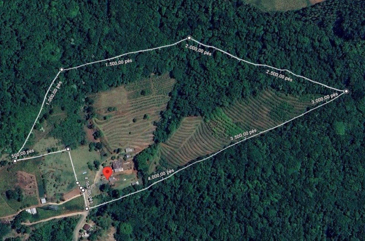 ÁREA DE 89.400,00M² (APROXIMADAMENTE 9 HECATRES) DENTRO DE UMA ÁREA MAIOR DE 226.400,00M² COM BENFEITORIAS NO VALE HERMES EM FELZ/RS, localizado em Feliz - RS