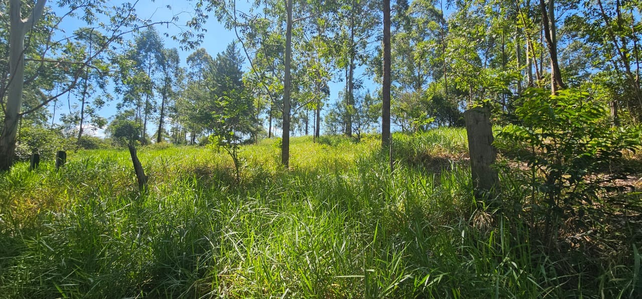 TERRENO DE 3.055,00m² NO LOTE 5 QUADRA D NO PARQUE CAMPESTRE, localizado em São Sebastião Do Caí - RS