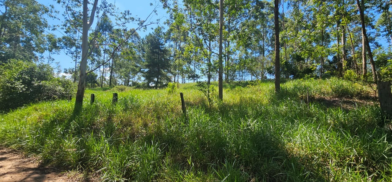 TERRENO DE 3.055,00m² NO LOTE 5 QUADRA D NO PARQUE CAMPESTRE, localizado em São Sebastião Do Caí - RS