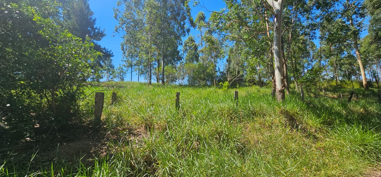TERRENO DE 3.055,00m² NO LOTE 5 QUADRA D NO PARQUE CAMPESTRE, localizado em São Sebastião Do Caí - RS
