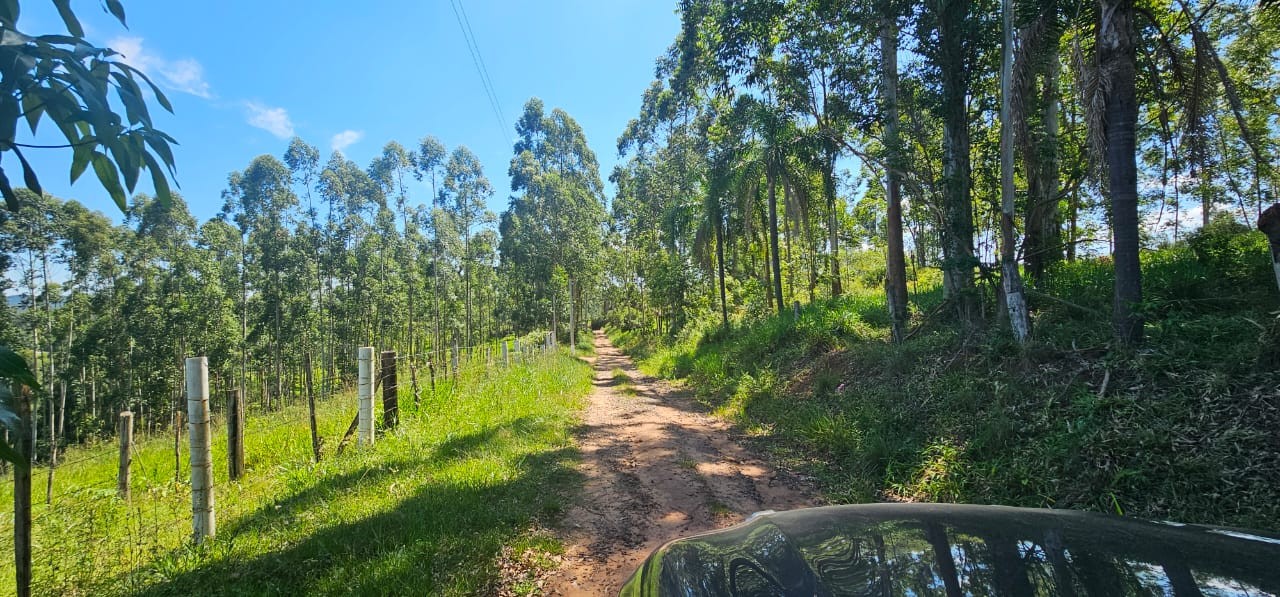 TERRENO DE 3.055,00m² NO LOTE 5 QUADRA D NO PARQUE CAMPESTRE, localizado em São Sebastião Do Caí - RS