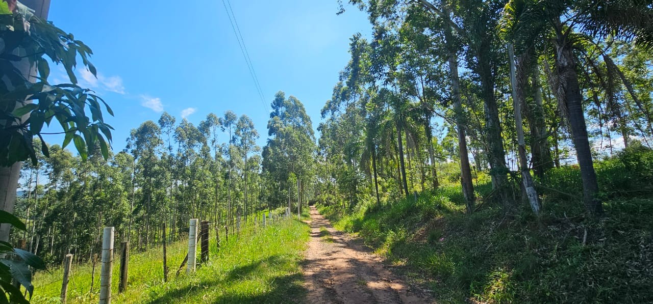 TERRENO DE 3.055,00m² NO LOTE 5 QUADRA D NO PARQUE CAMPESTRE, localizado em São Sebastião Do Caí - RS