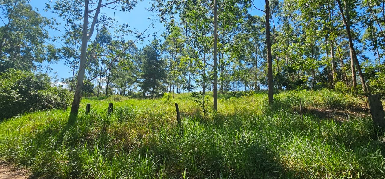 Imagem do imóvel TERRENO DE 3.055,00m² NO LOTE 5 QUADRA D NO PARQUE CAMPESTRE