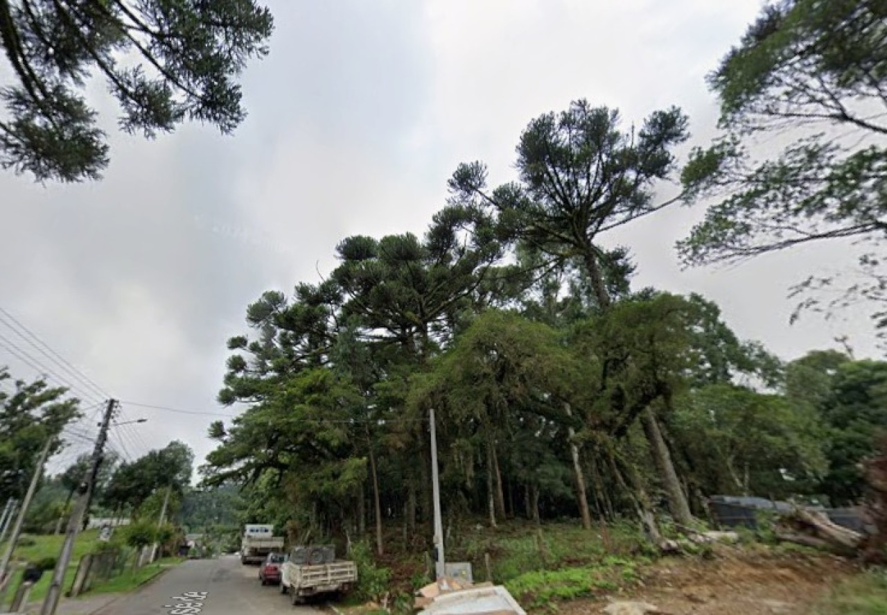 TERRENO URBANO COM ÁREA DE 2.776,67m² E BENFEITORIA NÃO AVERBADA NA VILA MOURA EM GRAMADO