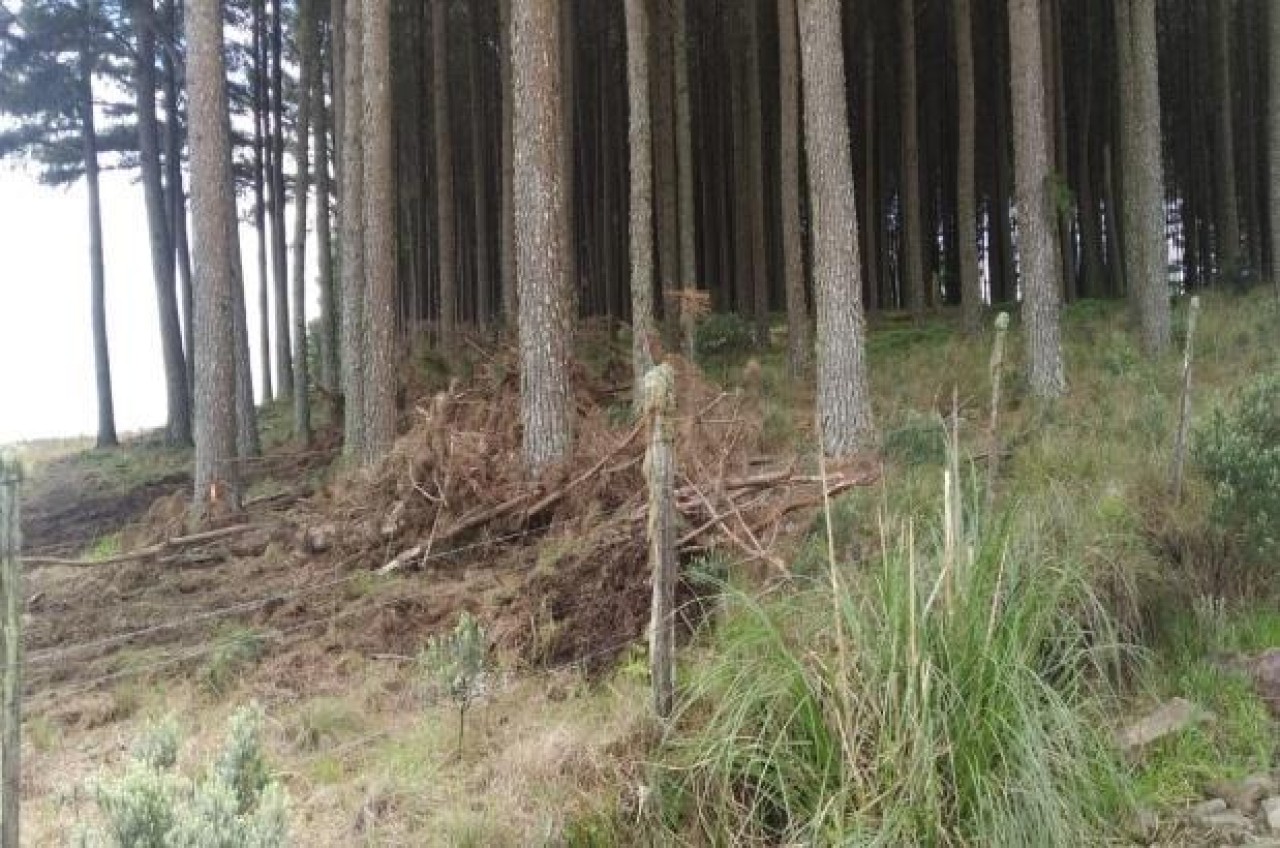 TERRENO COM ÁREA DE 1.388.781,00m² EM CAMBARÁ DO SUL/RS, localizado em Cambará Do Sul - RS