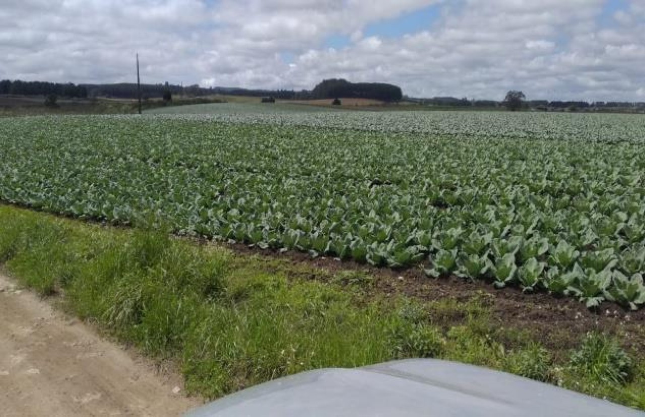 TERRENO COM ÁREA DE 1.388.781,00m² EM CAMBARÁ DO SUL/RS, localizado em Cambará Do Sul - RS