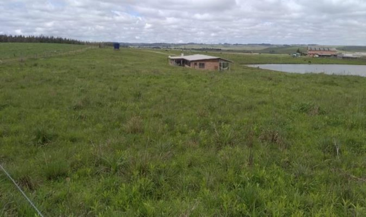 TERRENO COM ÁREA DE 1.388.781,00m² EM CAMBARÁ DO SUL/RS, localizado em Cambará Do Sul - RS