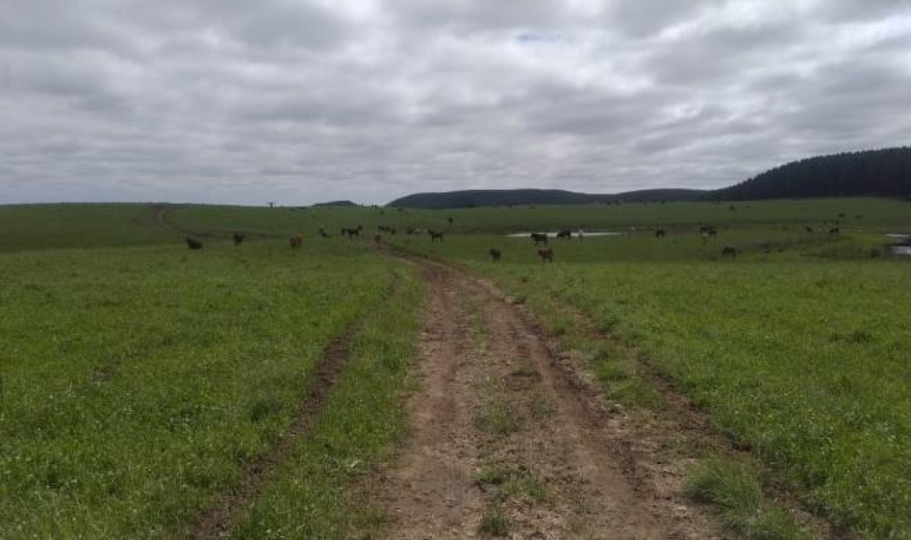 TERRENO COM ÁREA DE 1.388.781,00m² EM CAMBARÁ DO SUL/RS, localizado em Cambará Do Sul - RS