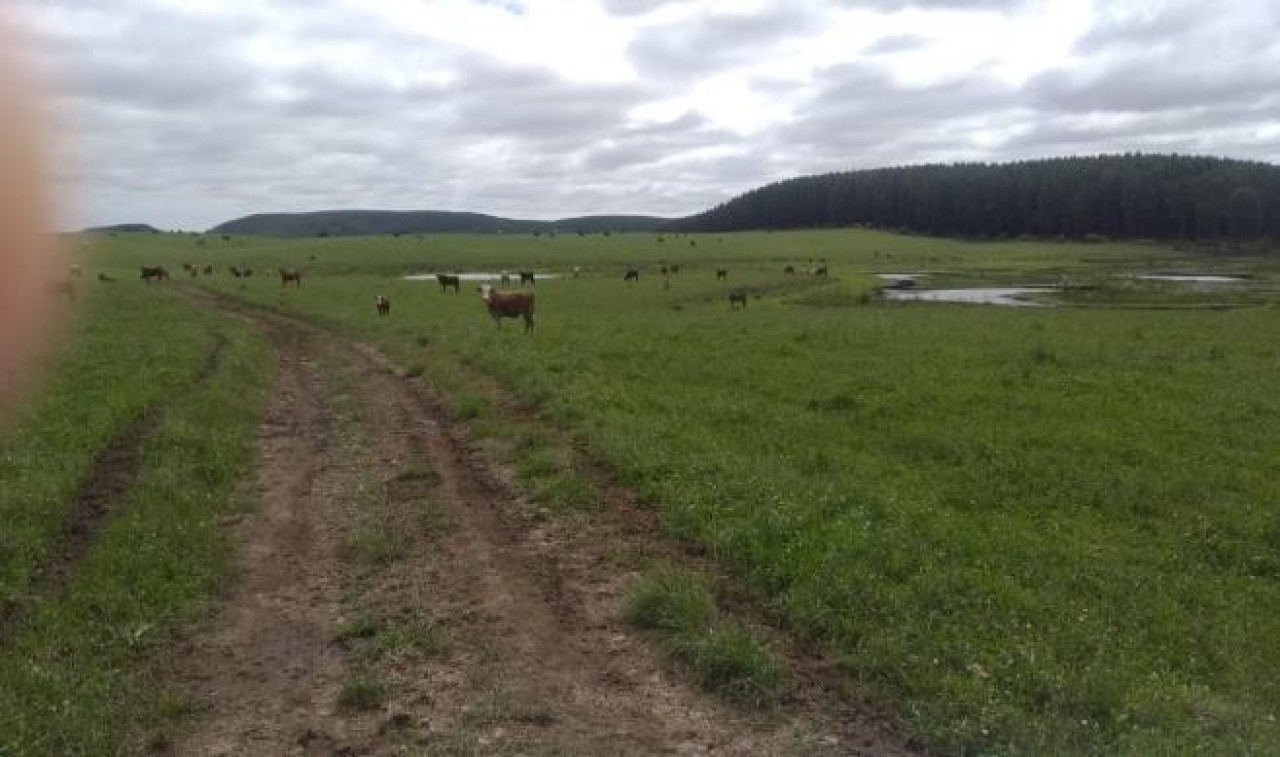 TERRENO COM ÁREA DE 1.388.781,00m² EM CAMBARÁ DO SUL/RS, localizado em Cambará Do Sul - RS