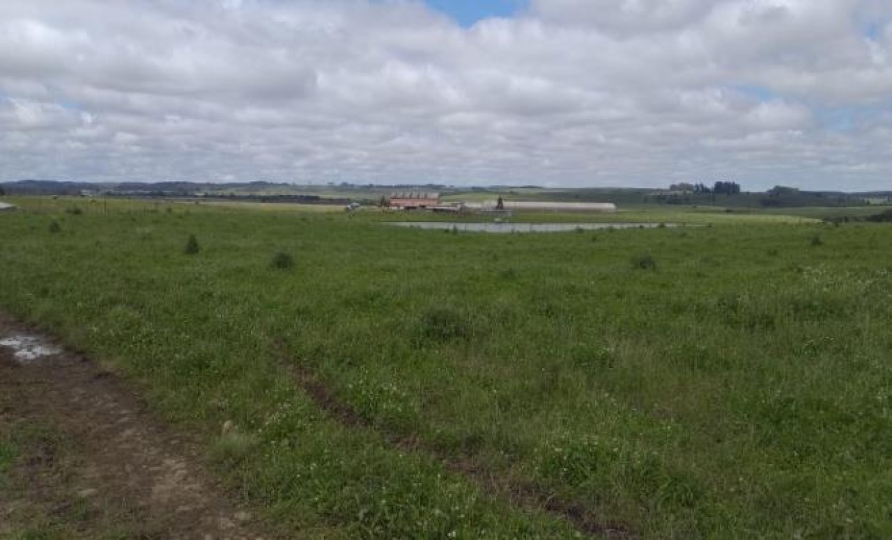 TERRENO COM ÁREA DE 1.388.781,00m² EM CAMBARÁ DO SUL/RS, localizado em Cambará Do Sul - RS