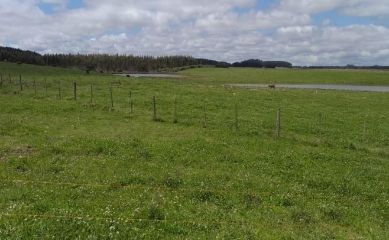 TERRENO COM ÁREA DE 1.388.781,00m² EM CAMBARÁ DO SUL/RS, localizado em Cambará Do Sul - RS