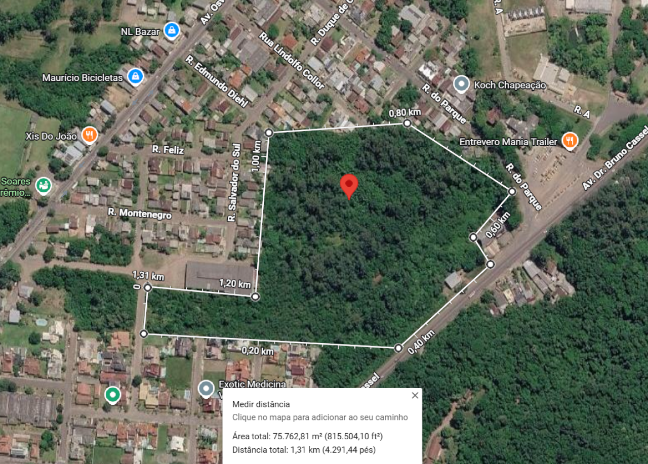 Imagem do imóvel ÁREA DE 86.458,00M² NO BAIRRO VILA RICA EM SÃO SEBASTIÃO DO CAÍ/RS