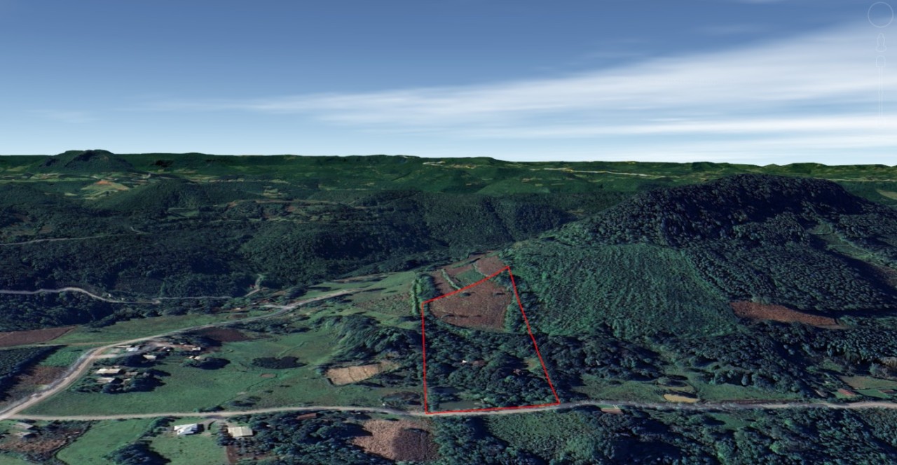 ÁREA DE 25.000m² EM GRAMADO/RS, localizado em Gramado - RS