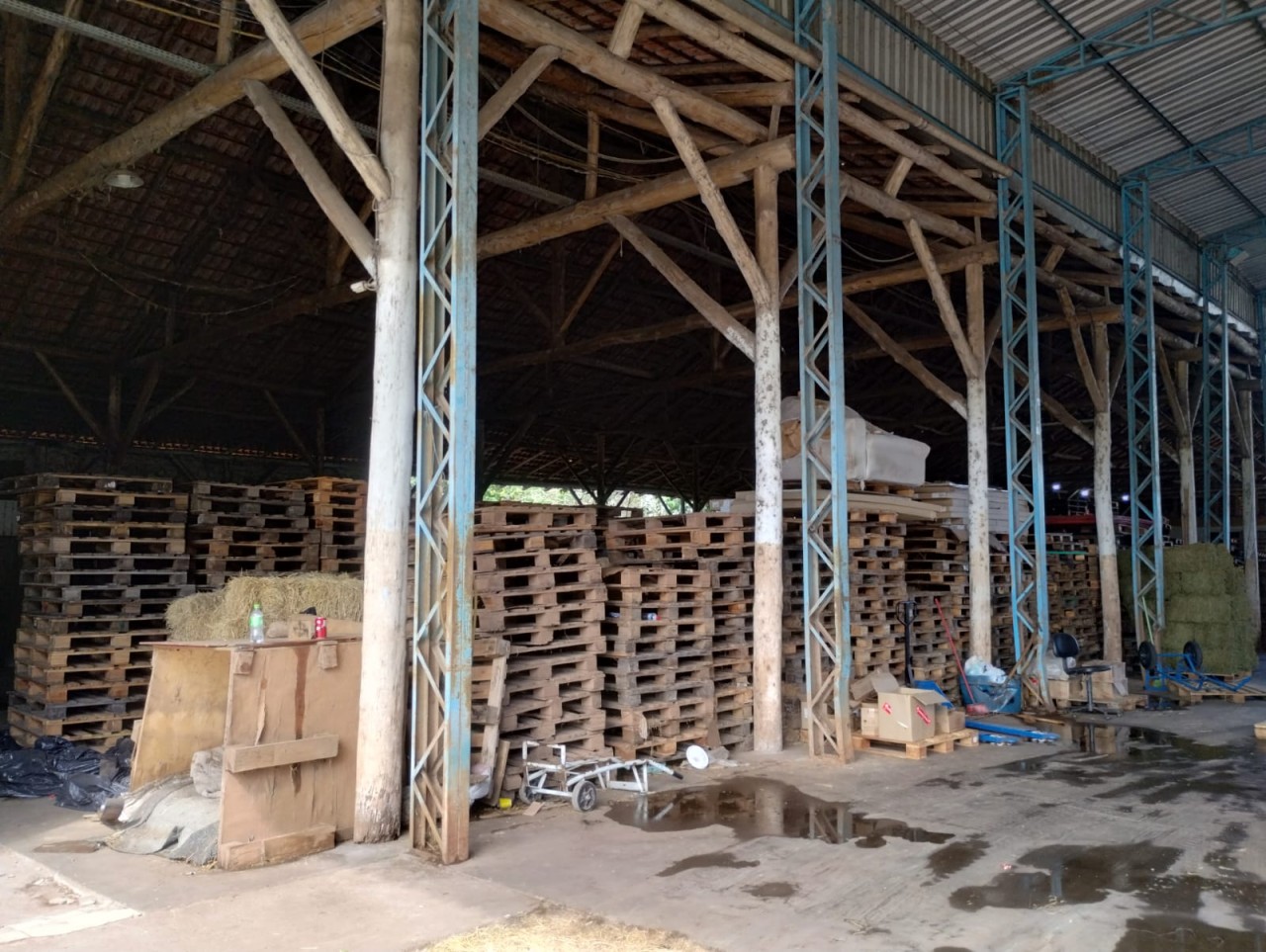 TERRENO COM TRÊS PAVILHÕES INDUSTRIAIS E ÁREA APROXIMADA DE 9.500m² EM SÃO SEBASTIÃO DO CAÍ, localizado em São Sebastião Do Caí - RS