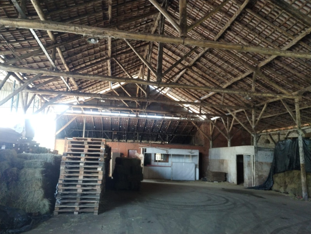TERRENO COM TRÊS PAVILHÕES INDUSTRIAIS E ÁREA APROXIMADA DE 9.500m² EM SÃO SEBASTIÃO DO CAÍ, localizado em São Sebastião Do Caí - RS