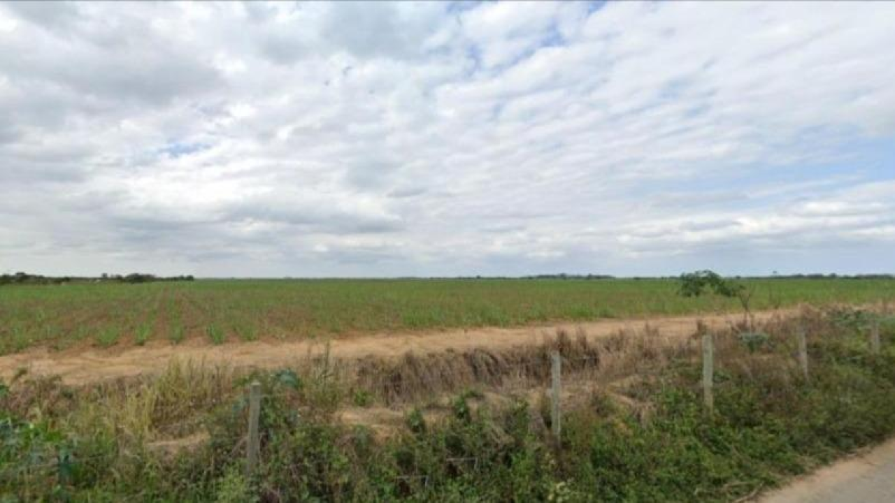 TERRENO RURAL COM ÁREA DE 48.649m² FLORES DA CUNHA/RS