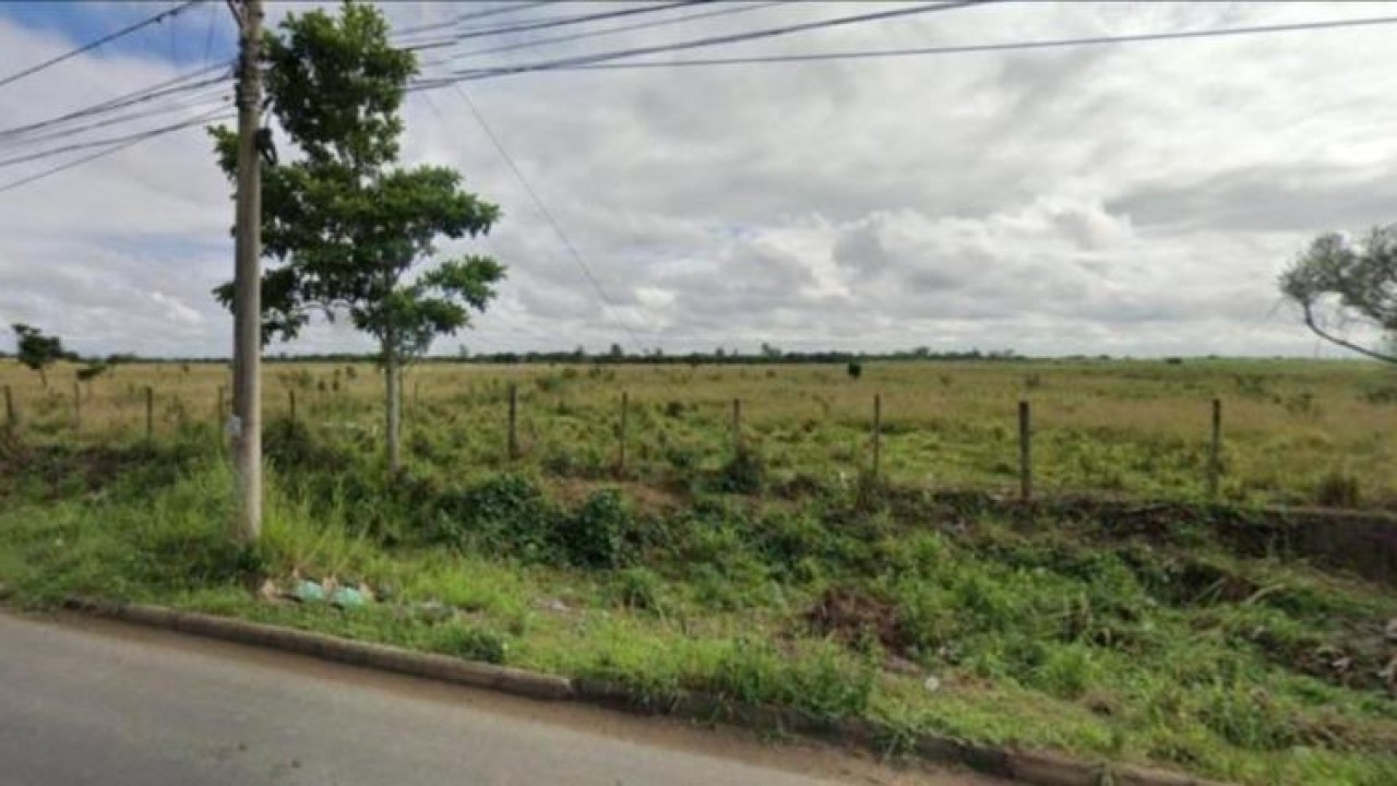 TERRENO DE 10.000m² EM FLORES DA CUNHA/RS