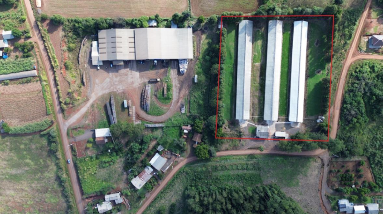 Imagem do imóvel IMÓVEL (17.000 m2) DENTRO DE UMA ÁREA MAIOR DE  37.037,22m² COM GALPÕES AVIÁRIOS EM MONTENEGRO/RS