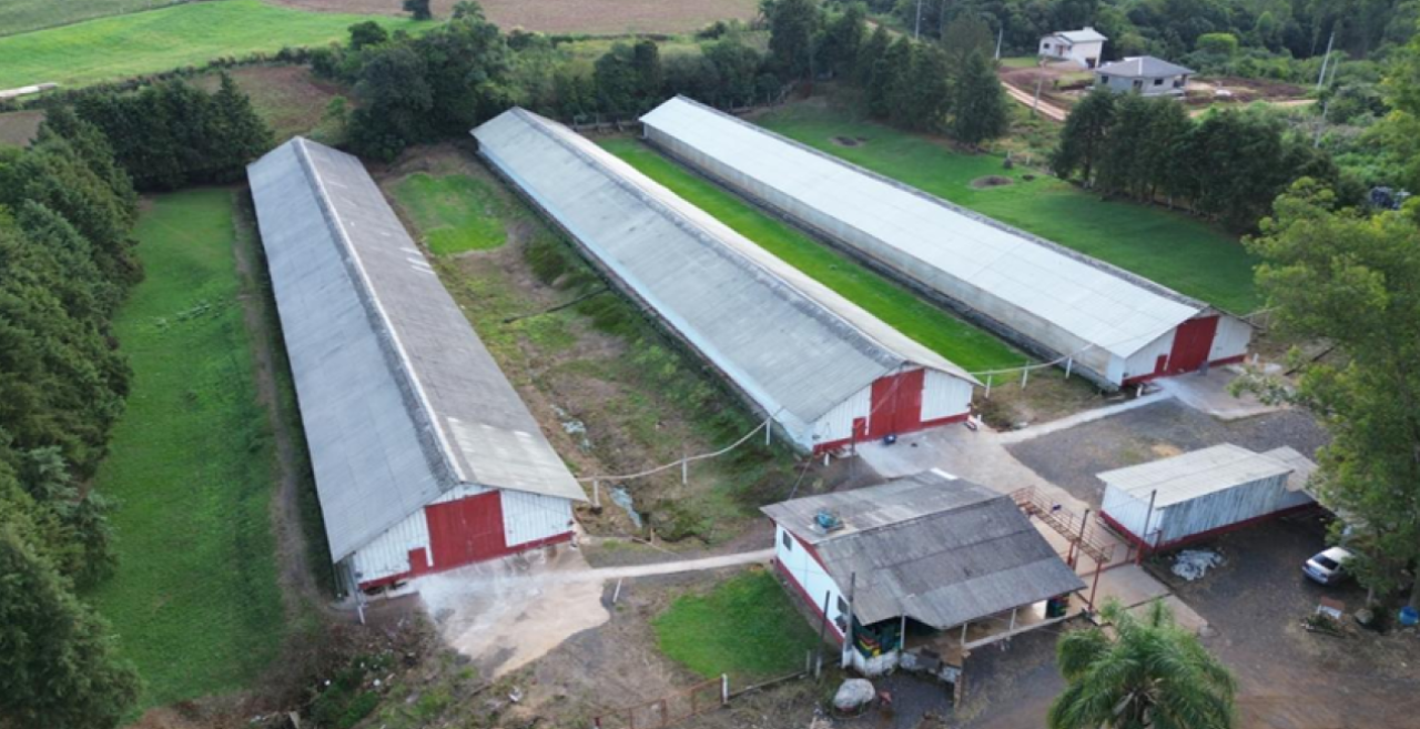 Imagem do imóvel ÁREA DE 17.000M² COM GALPÕES AVIÁRIOS (DENTRO DE ÁREA MAIOR DE 37.037,22M²) EM MONTENEGRO/RS