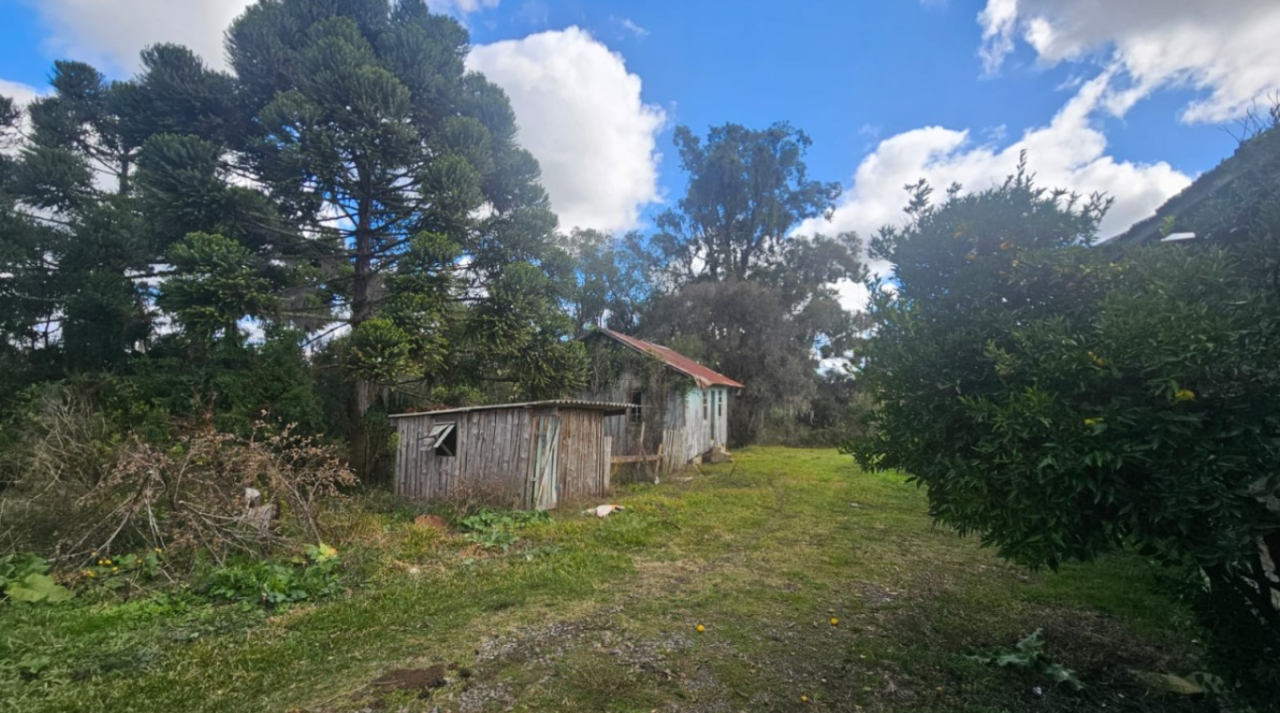 LOTE ÚNICO — GRANDE ÁREA RURAL COM 108,5 HECTARES EM CRIÚVA, CAXIAS DO SUL/RS, localizado em Caxias Do Sul - RS
