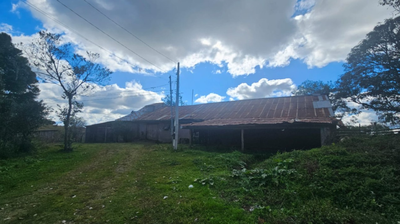 LOTE ÚNICO — GRANDE ÁREA RURAL COM 108,5 HECTARES EM CRIÚVA, CAXIAS DO SUL/RS, localizado em Caxias Do Sul - RS
