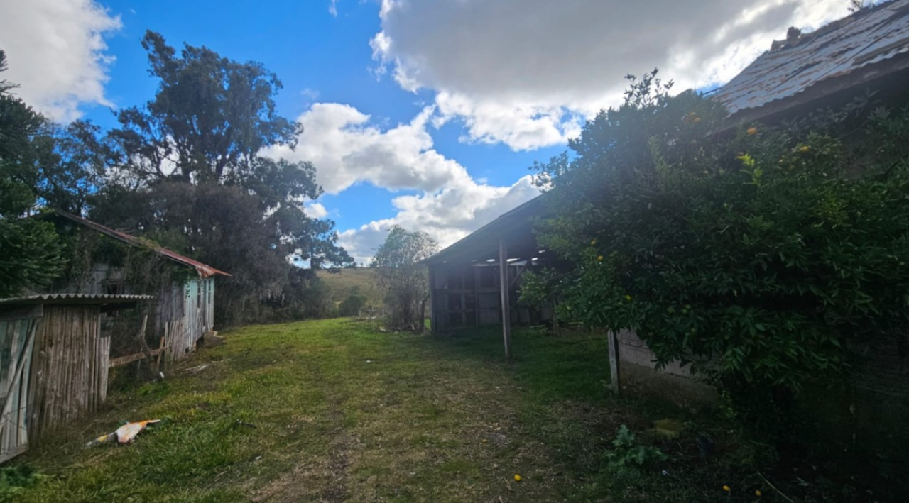 LOTE ÚNICO — GRANDE ÁREA RURAL COM 108,5 HECTARES EM CRIÚVA, CAXIAS DO SUL/RS, localizado em Caxias Do Sul - RS