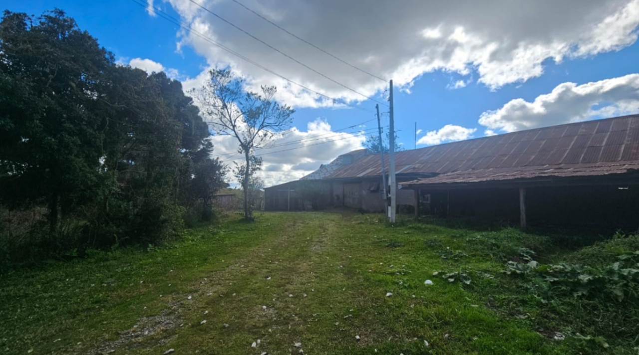 LOTE ÚNICO — GRANDE ÁREA RURAL COM 108,5 HECTARES EM CRIÚVA, CAXIAS DO SUL/RS, localizado em Caxias Do Sul - RS