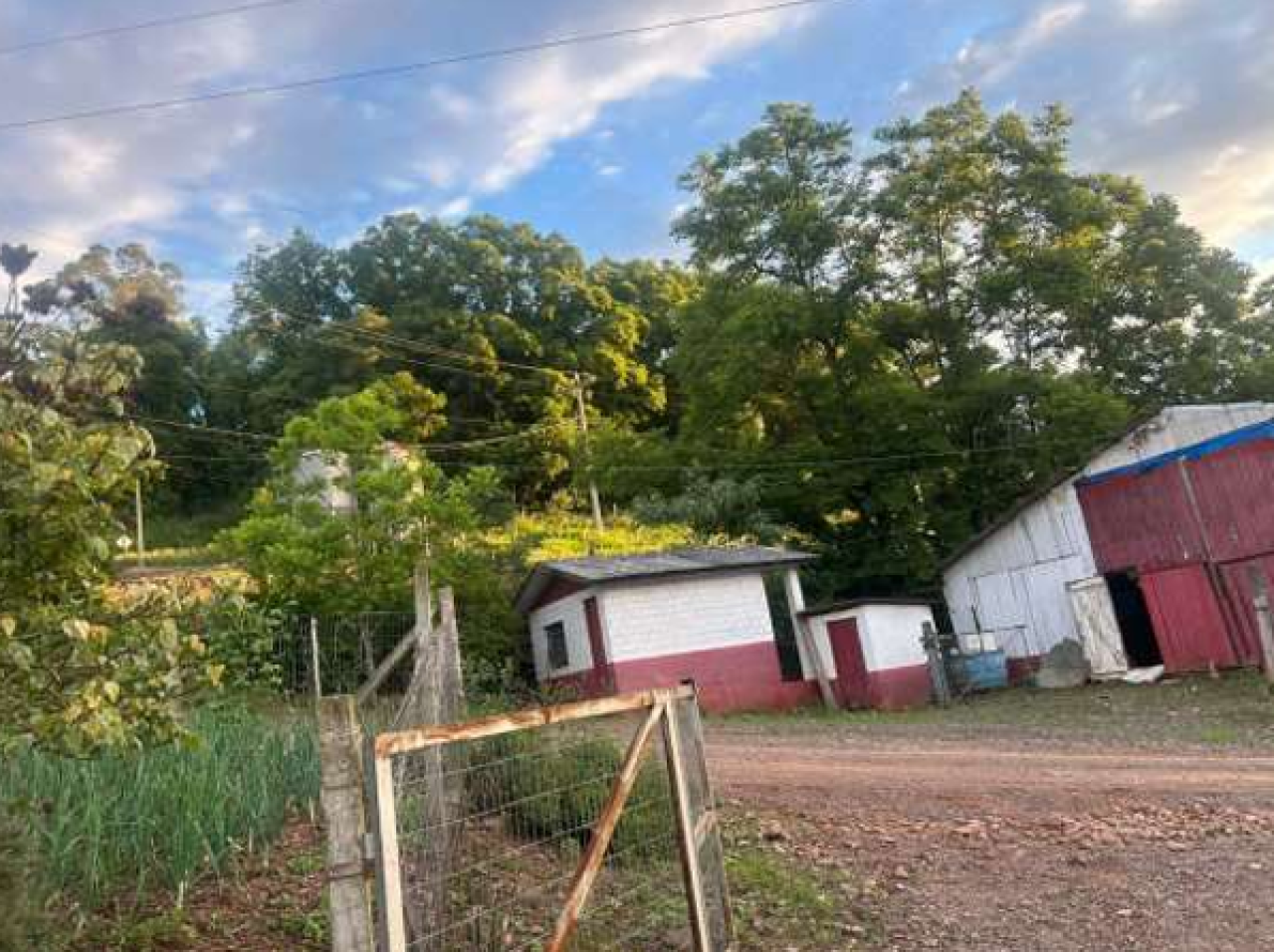 ÁREA DE TERRA RURAL COM 37.125,00M², localizado em Encantado - RS